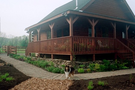 Front garden path just finished early May 03
