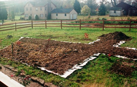 Front garden path layout early May 03