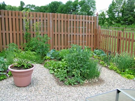 Fences and walls also have a big impact on the gardens inside them.