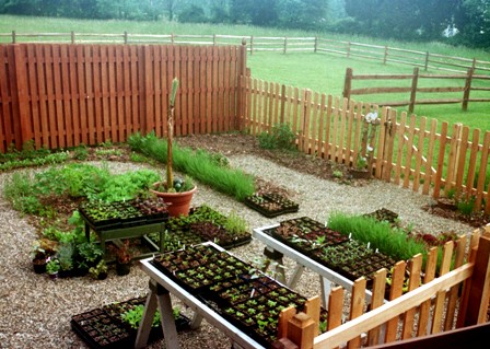 Enclosed kitchen garden Spring 03