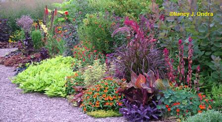 Garden Bloggers Design Workshop – Color in the Garden - Gardening ...