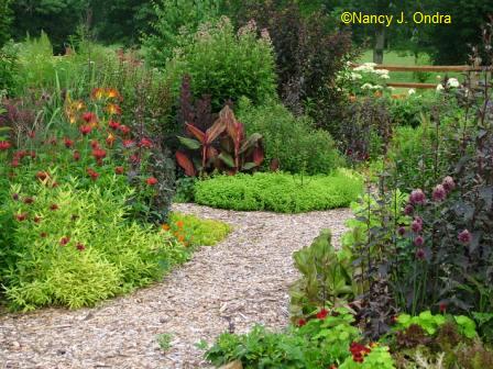 Garden Bloggers Design Workshop – Paths and Walkways - Gardening ...