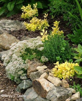 garden stone ideas