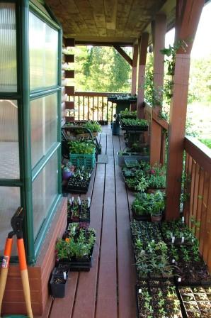 Nice Porch