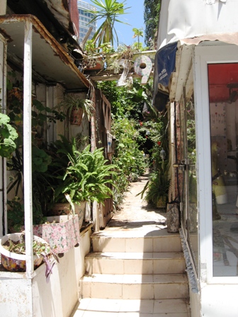 funky garden design
