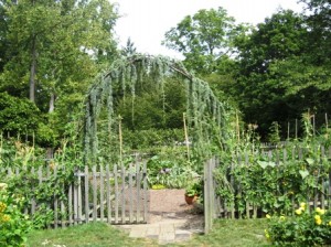 chanticleer-82808-cedar-covered-arbor-in-veggie-garden-resized