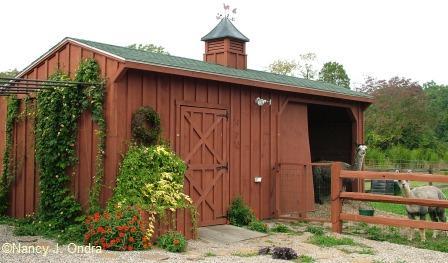 boys-and-barn-sept-30-08