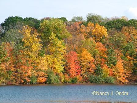 nockamixon-state-park-4-oct-18-08