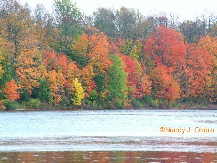 nockamixon-state-park-shoreline-oct-18-08