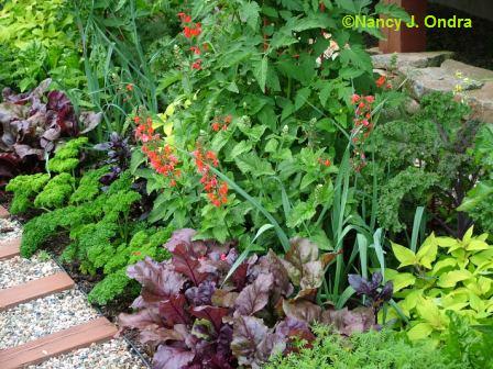s-blood-beets-kale-salvia-tomatoes-leeks-july-4-07