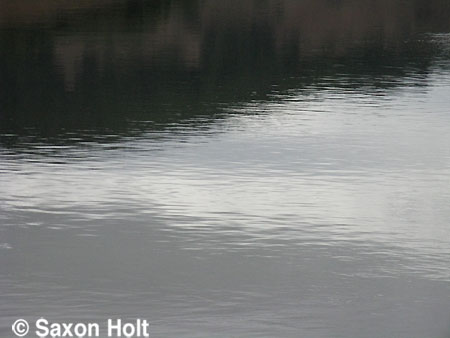 mt-burdell-reflection