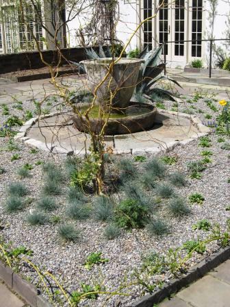 chanticleer-on-41808-resized-teacup-garden