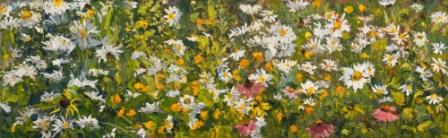 daisies-2008 daisies-2008