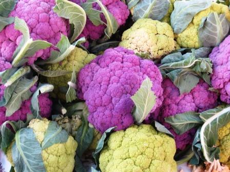 purple-and-white-cauliflower-resized purple-and-white-cauliflower-resized