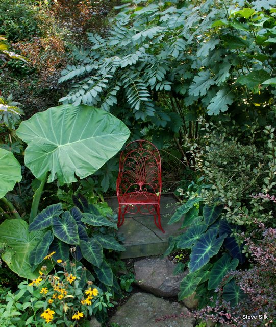red-chair-plumes