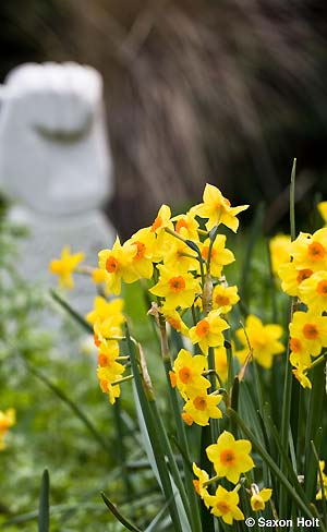 6holt_903_1449b 6holt_903_1449b