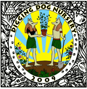 ddcover-20091