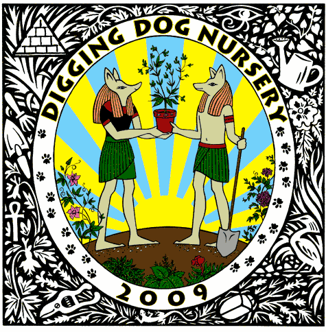 ddcover-20091