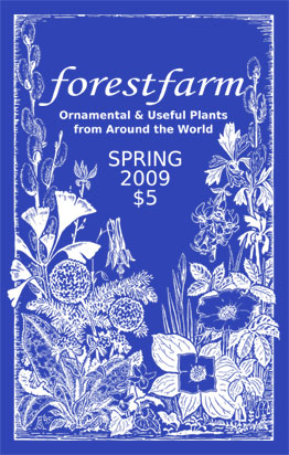 hardcopy262-forest-farm-catalogue