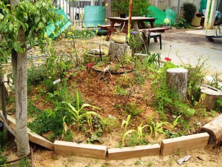 http://www.gardeninggonewild.com/wp-content/uploads/2009/03/school-garden-resized-raised-bed.jpg