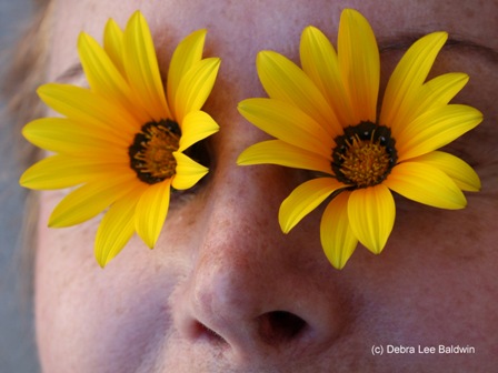 daisy_eyes_cropped2_resized1 daisy_eyes_cropped2_resized1