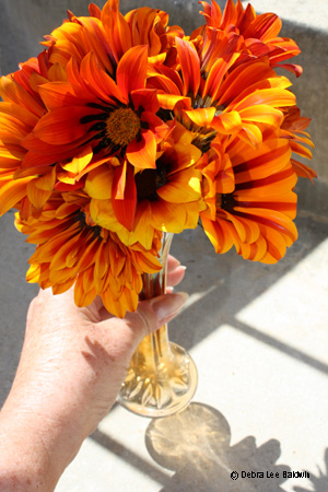 gazania_bouquet_resized gazania_bouquet_resized