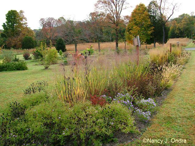 long-border-oct-14-08 long-border-oct-14-08