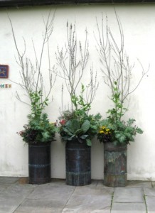 chanticleer-50909-grouping-of-similarf-containers-near-entryway-bathrooms-resized