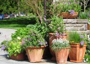 chanticleer-50909-grouping-of-spring-containers-at-entryway-resized