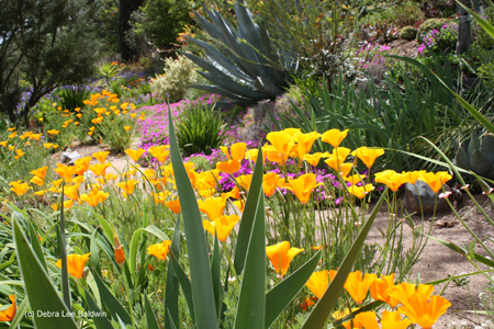 garden-path-w-c garden-path-w-c