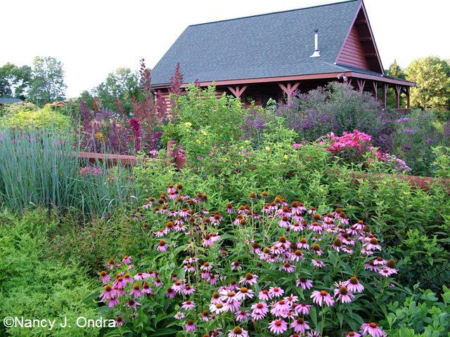 garden yard