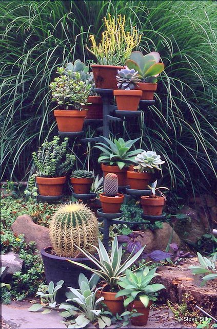 My succulent tower My succulent tower
