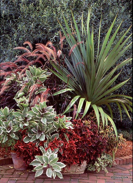 THBG Pandanus pot THBG Pandanus pot