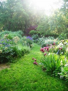 Top level bed-spring-resized