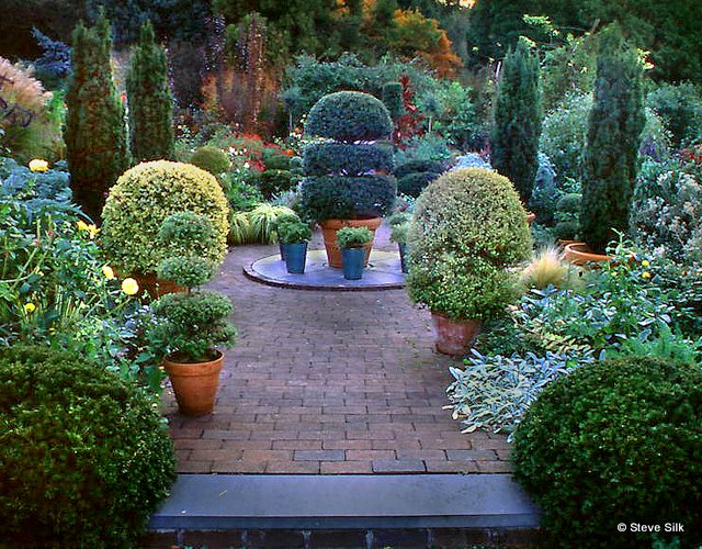 WH potted terrace WH potted terrace
