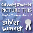 picture_this_silver[1]