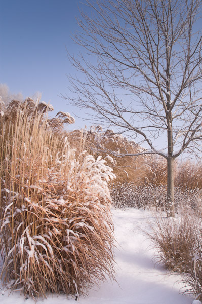Country Gardener Winter Country Gardener Winter