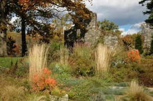 Fall grasses at chanticleer-resized