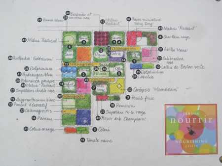 Garden plan Garden plan