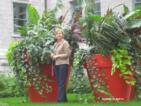 Red flower pots Red flower pots