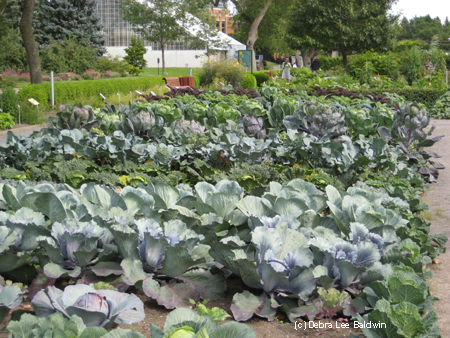 Vegetable beds