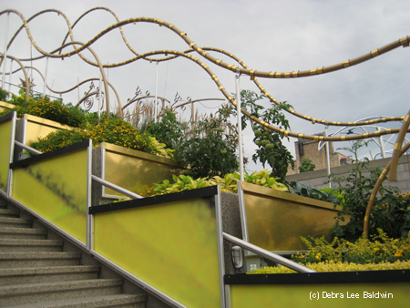 Yellow terraces Yellow terraces