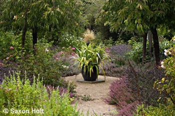 holt_780_0365