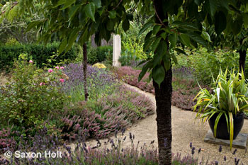 holt_780_0377