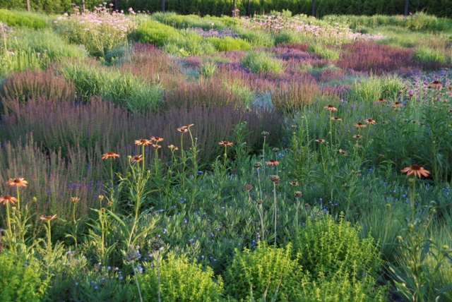 lurie garden1 lurie garden1