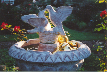 Birdbath resized Birdbath resized
