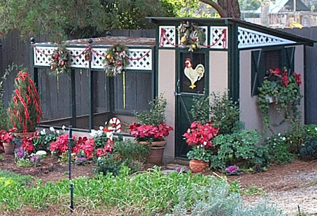 Coop2 resized Coop2 resized