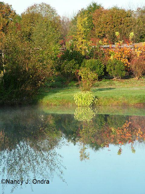 Fall color in Lake Linden Oct 12 09 Fall color in Lake Linden Oct 12 09