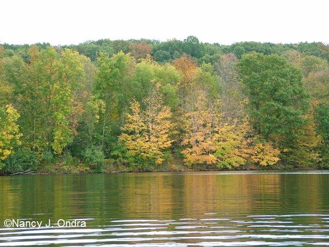 Lake Nockamixon Oct 9 09 Lake Nockamixon Oct 9 09