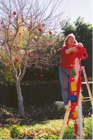 Laurie on ladder resized Laurie on ladder resized